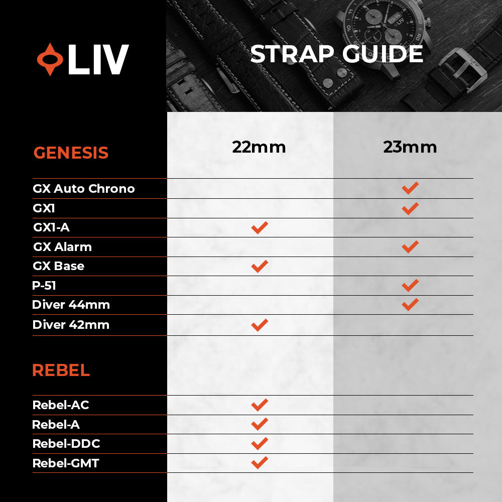 Suede | 22mm - LIV Swiss Watches